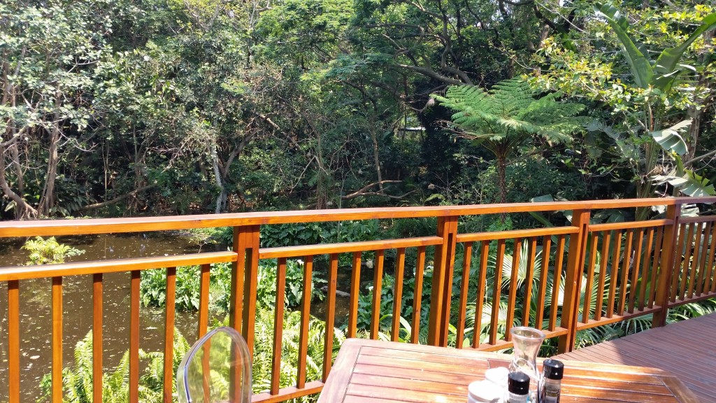 Waterberry Coffee Shoppe - view from the deck over indigenous forest.