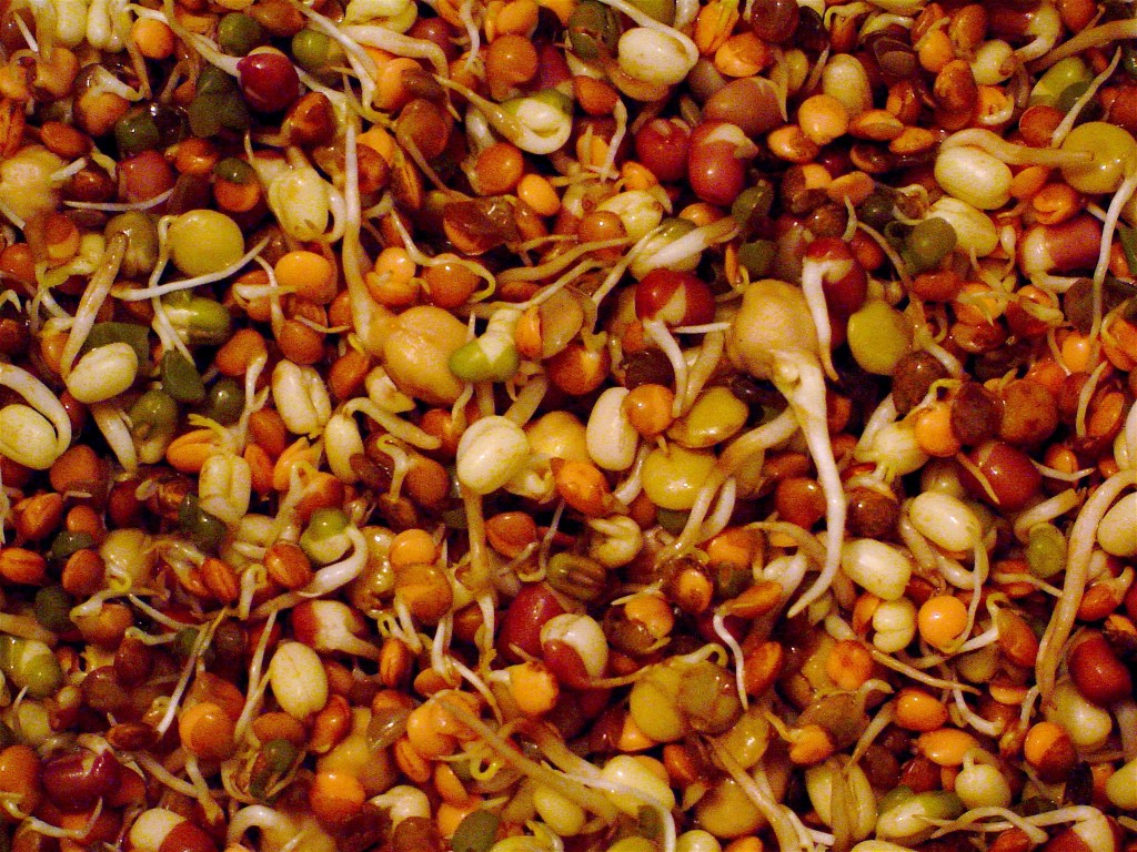 Sprouting grains - new superfood