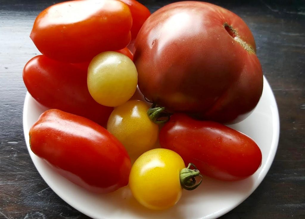 Heirloom tomatoes